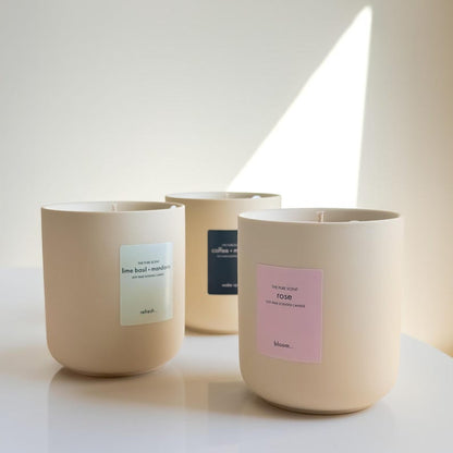 300g Ceramic Soy Wax Candle with Lid