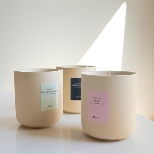 300g Ceramic Soy Wax Candle with Lid